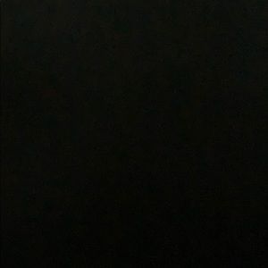 Meet your Posher, Gavin